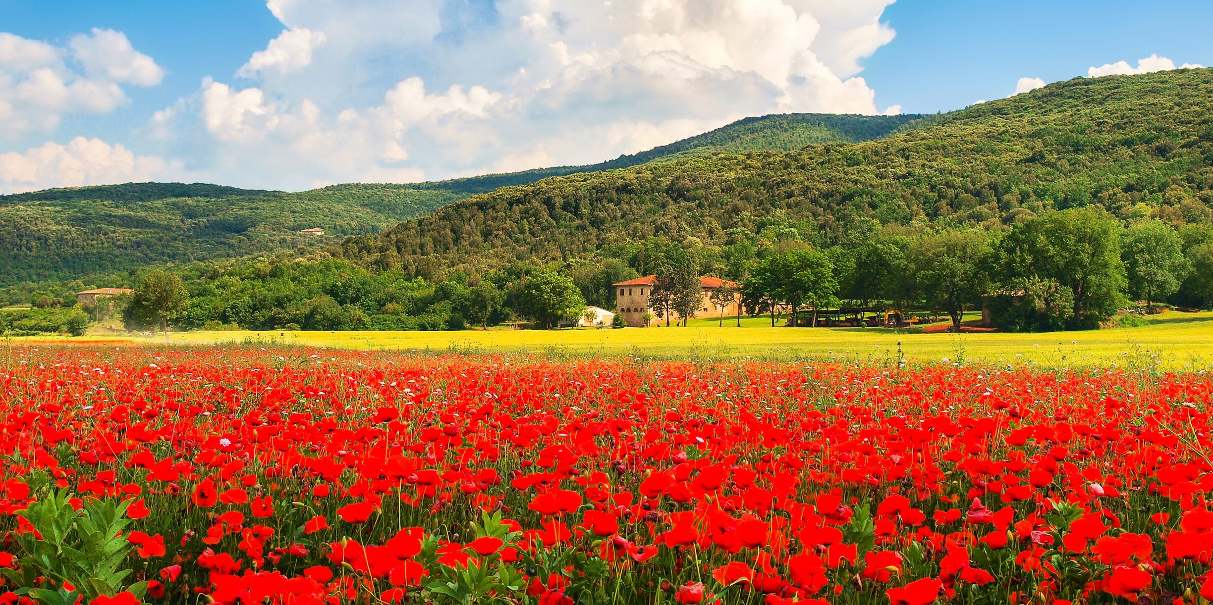 I nostri abbonamenti